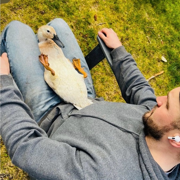 Meet your Posher, Mariah - Picture 3 of 12